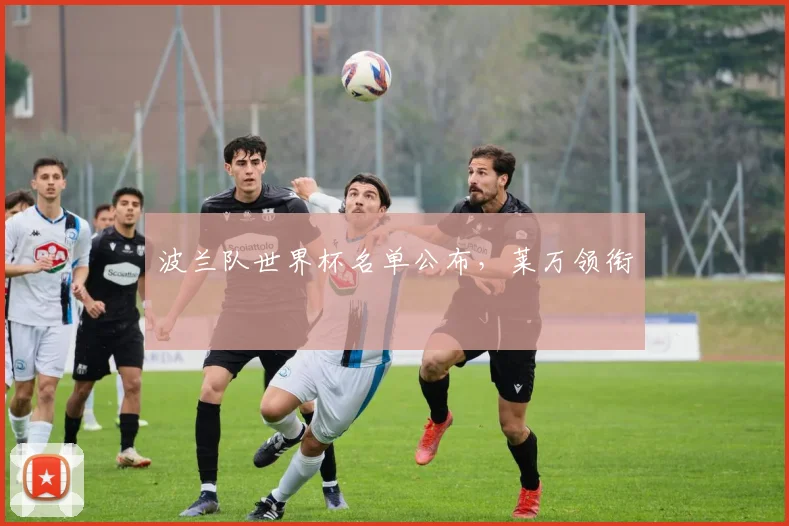 波兰队世界杯名单公布，莱万领衔