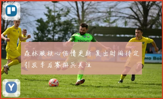 森林狼核心伤情更新 复出时间待定引发季后赛排兵关注