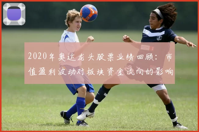 2020年奥运龙头股票业绩回顾：市值盈利波动对板块资金流向的影响